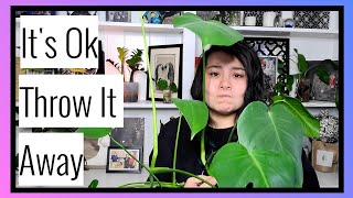 It's Ok, Throw It Away | Plant Purge 2022