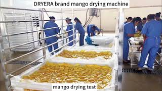 DRYERA brand mango heat pump dryer machine