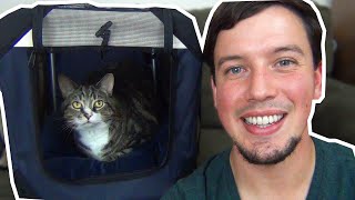 The Best Cat Carrier on Amazon!  😻  PetLuv Cat Carrier Review