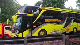 ARTIS BUS TELOLET BASURI TERBAIK SEJAGAT RAYA