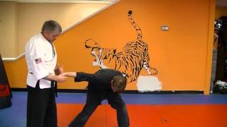 Spiraling Twig - Kenpo self defense technique for a rear bear hug arms free