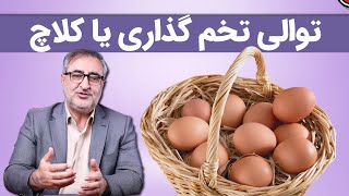 توالی تخم گذاری یا کلاچ