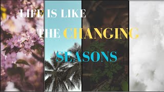 Jim Rohn's Secrets to Embracing Life's Seasons for Growth