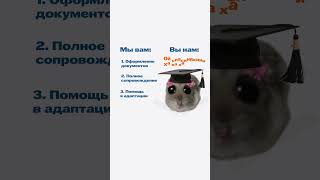 Престижное высшее образование в Малайзии - легко! 🚀 Тгк: @mastersproedu #учебазаграницей #малайзия