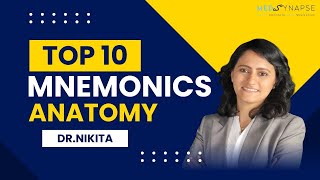 Top 10 mnemonics - Anatomy  |  Anatomy tricks | Medsynapse by Dr. Nikita