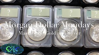 GUESS THE GRADE - PHILADELPHIA MORGANS - “MORGAN DOLLAR MONDAYS” with MASSABESIC GOLD and SILVER