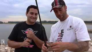 Fishing Duell - Big L vs Johnny / Angeln auf Zander, Barsch und Hecht am Rhein / Carolina Rig - Jig