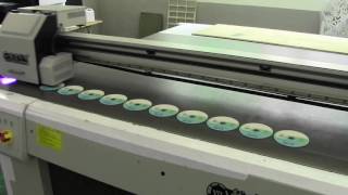 3D effect good quality CD printing machine UV flatbed printer