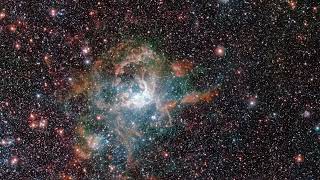 Zooming in on the Tarantula Nebula with radio wavelengths