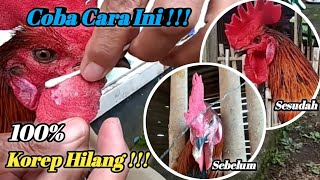 MENGOBATI AYAM PELUNG KOREP /  HAPUR | 2 HARI MUKA AYAM LANGSUNG KINCLONG