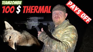 Coyote hunting with a 100$ thermal