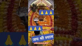 Jab Tut Jata Hoon#video #shortsfeed #babashyam #khatushyam #shorts #shortvideo #khatu #shyaam