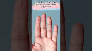 Why do we get pruney and wrinkly fingers? #shorts #youtubeshorts #facts