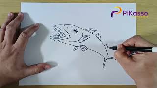 How to Draw a Barracuda : A Beginner's Guide