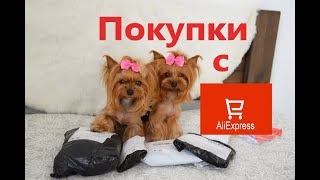 Покупки с AliExpress для собак