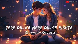 Tere Dil Ka Mere Dil Se Slowed Reverb Song | Sonu Nigam | Himesh Reshammiya | SR Lofi