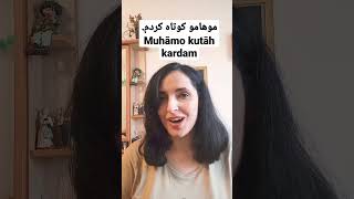 How to say "I had my hair cut" in Persian/ Farsi language?