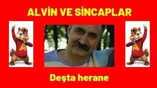 HOZAN AYDIN - DEŞTA HERANE | ALVİN VE SİNCAPLAR