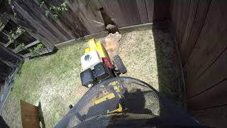 A stump by the fence I Before I Stump grinding I Houston , Texas