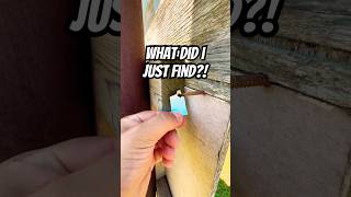 Where WOOD you try searching for this hidden Geocache? 👀