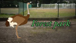 #vlog 5: Forest park/bospark Lokeren 🐴