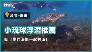 【台灣旅遊攻略】小琉球浮潛推薦，輕鬆與海龜共游！欣賞小琉球美麗的海底世界｜KKday