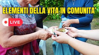 Fondamenti della Vita in Comunità