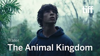 THE ANIMAL KINGDOM Trailer | TIFF 2024