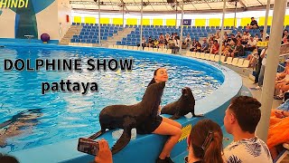 Dolphin show in pattaya,Thailand. Best time to visit and entery fees? Everything you need to know |