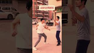 Tai Chi Gao Tan Ma Practical Application Grappling and Fighting Chinese Kung Fu