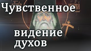 О чувственном видении духов - Игнатий (Брянчанинов)