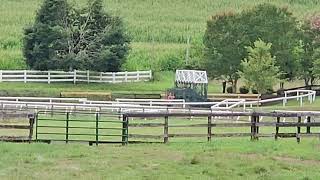 Lunar Lightning (already in  gate) and Sever (loading w/ blinkers) get some gate training on 7/23.