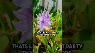 Mind Blowing Fast Growing Plants Revealed! #mindblowingnature  #rapidgrowth  #plantlife #didyouknow