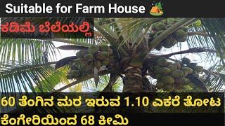 ❤️Sold❤️ow price Coconut farm land for sale at Channapatna 🌴, 68 Km from Kengeri,