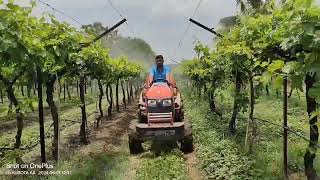 27 hp kubota tractor demo spraying in grapes कुबोटा 27 hp ट्रॅक्टरने फवारणी यंत्र डेमो द्राक्ष बाग