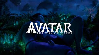 Avatar The Way Of Water Aesthetic Scene Pack ( +Download Link)