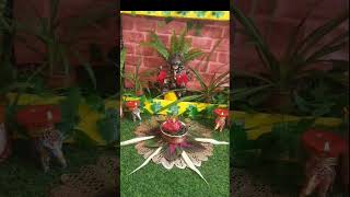 Happy Diwali🪔#Diwali decoration with plants#garden mind#shorts