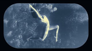 Weeki Wachee Mermaids