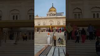 #viral #trending #india #shorts #god #punjab #short #share #guru #guruji #punjabi #gurudwara #video