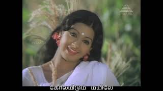 Senthoora Poove - 2nd Saranam - Lyrics - Ilayaraja WhatsApp Status