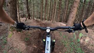 PIETRO MUZZIN'S full run SAIUC TRAIL (fornibikepark)