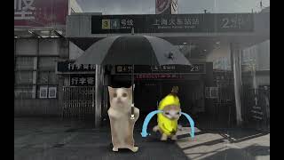 The daily life of happy cat and banana cat 9