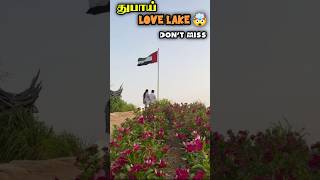 அட இதான் துபாய் Love Lake uh💢🤯  #shorts #tamil #trending #minivlog