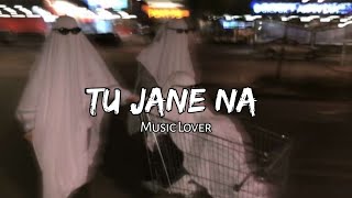 Tu Jane Na [ Slowed and Reverb ] @kp_music_lofi