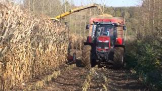 Landbouwhaspengouw- Maïs hakselen met de New Holland FX48