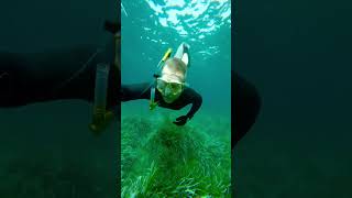 Snorkeling in Sardinia, Italy. #italy #sardinia #snorkeling #underwater ￼