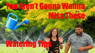 Tips For Watering Japanese Maples with MrMaple's Elizabeth and Corbin | How to Water Your Garden