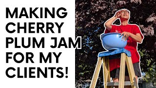 Day in my Life as a Realtor | Episode 25 | Making Cherry Plum Jam for my Clients #dayinthelife