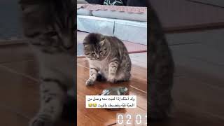 كملوا فيديو للآخر 😂😂