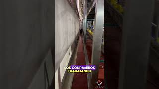 Instalación de Acometida Eléctrica a Cuadro de paletizadores